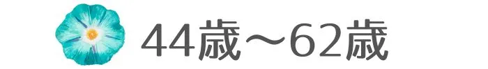 44歳～62歳の年齢カテゴリ